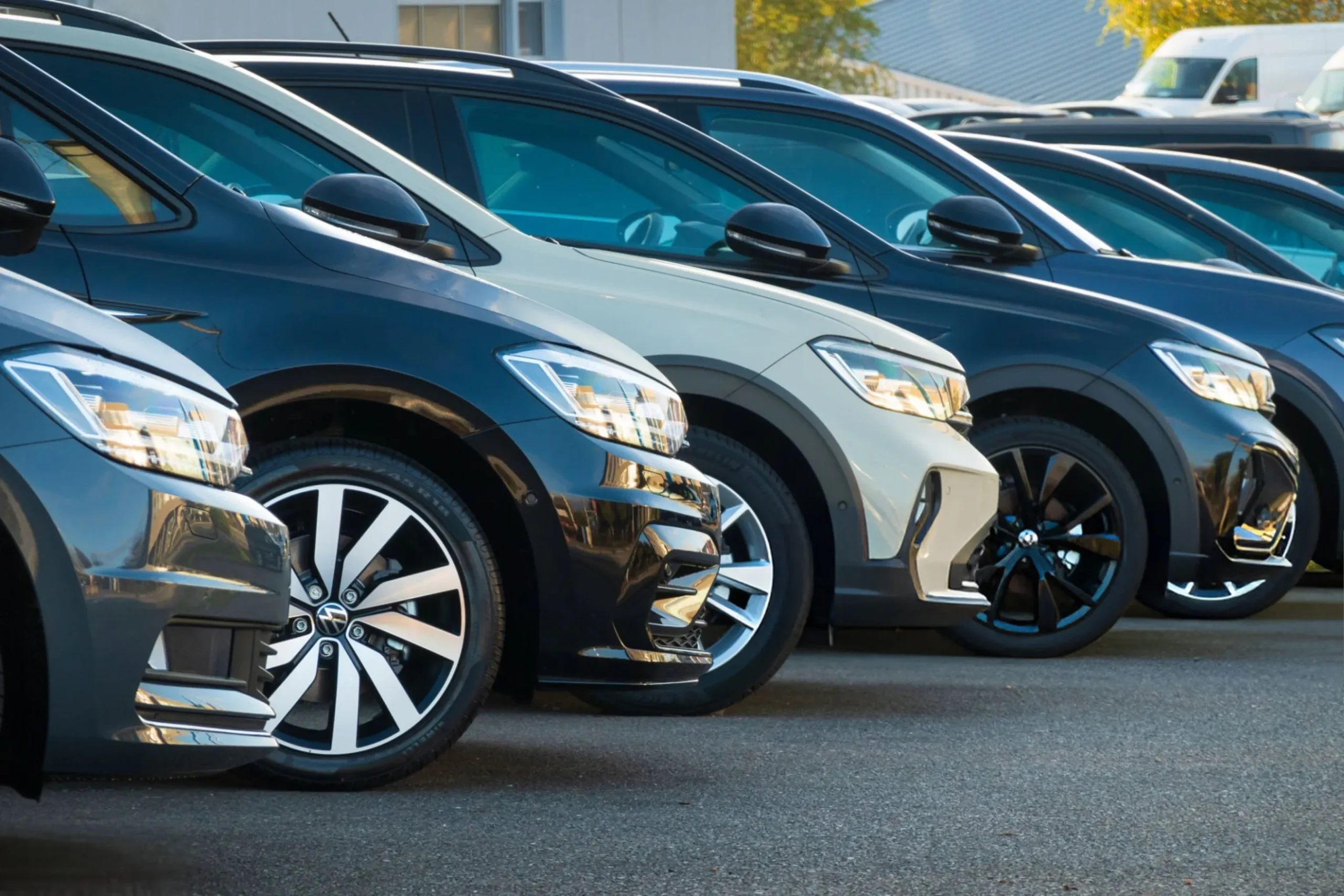 shutterstock 2642516041